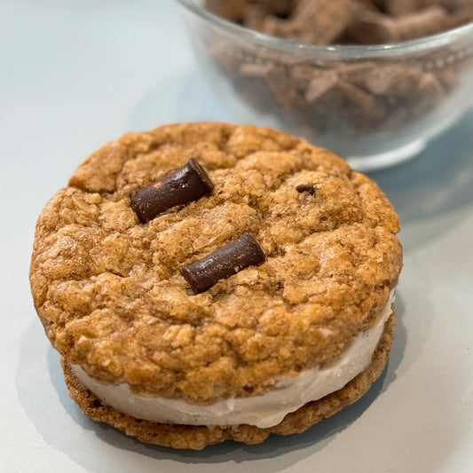 Molly's Chocolate Chunk Ice Cream Sandwich