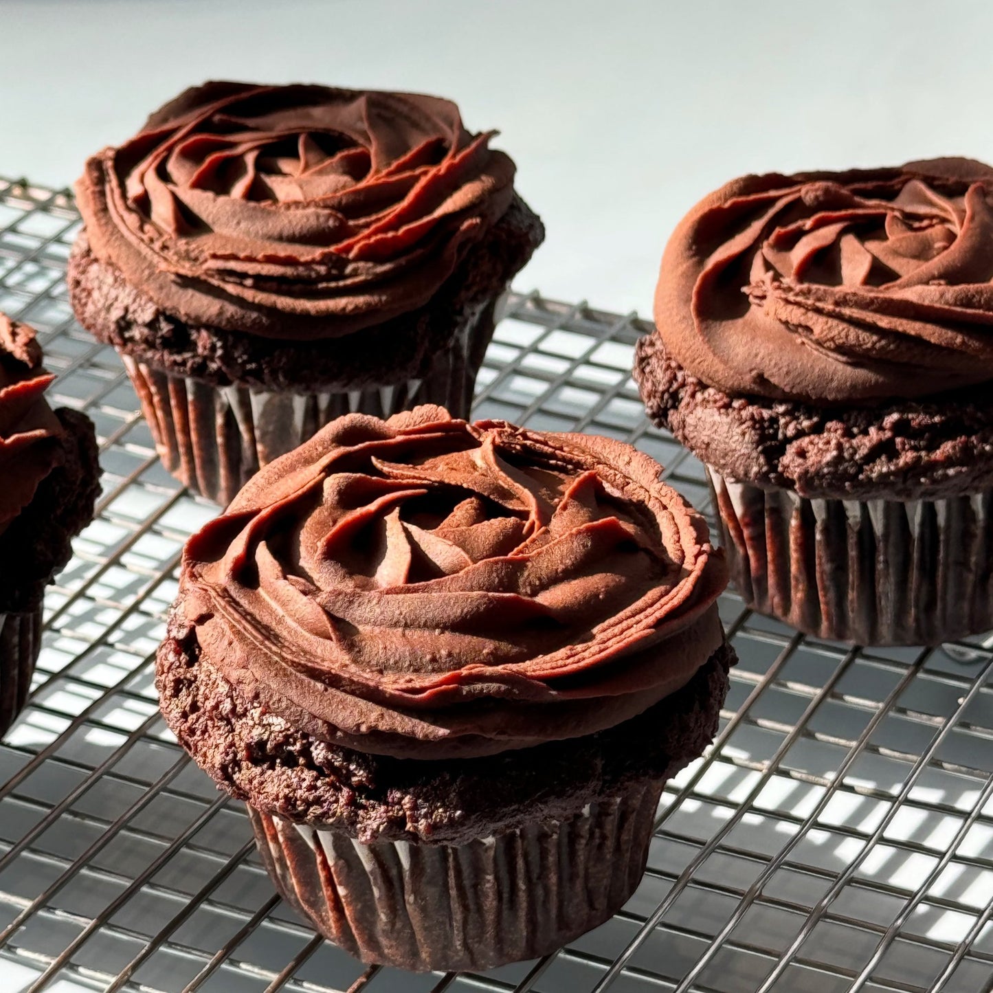 Molly's Chocolate Fudge Cupcakes