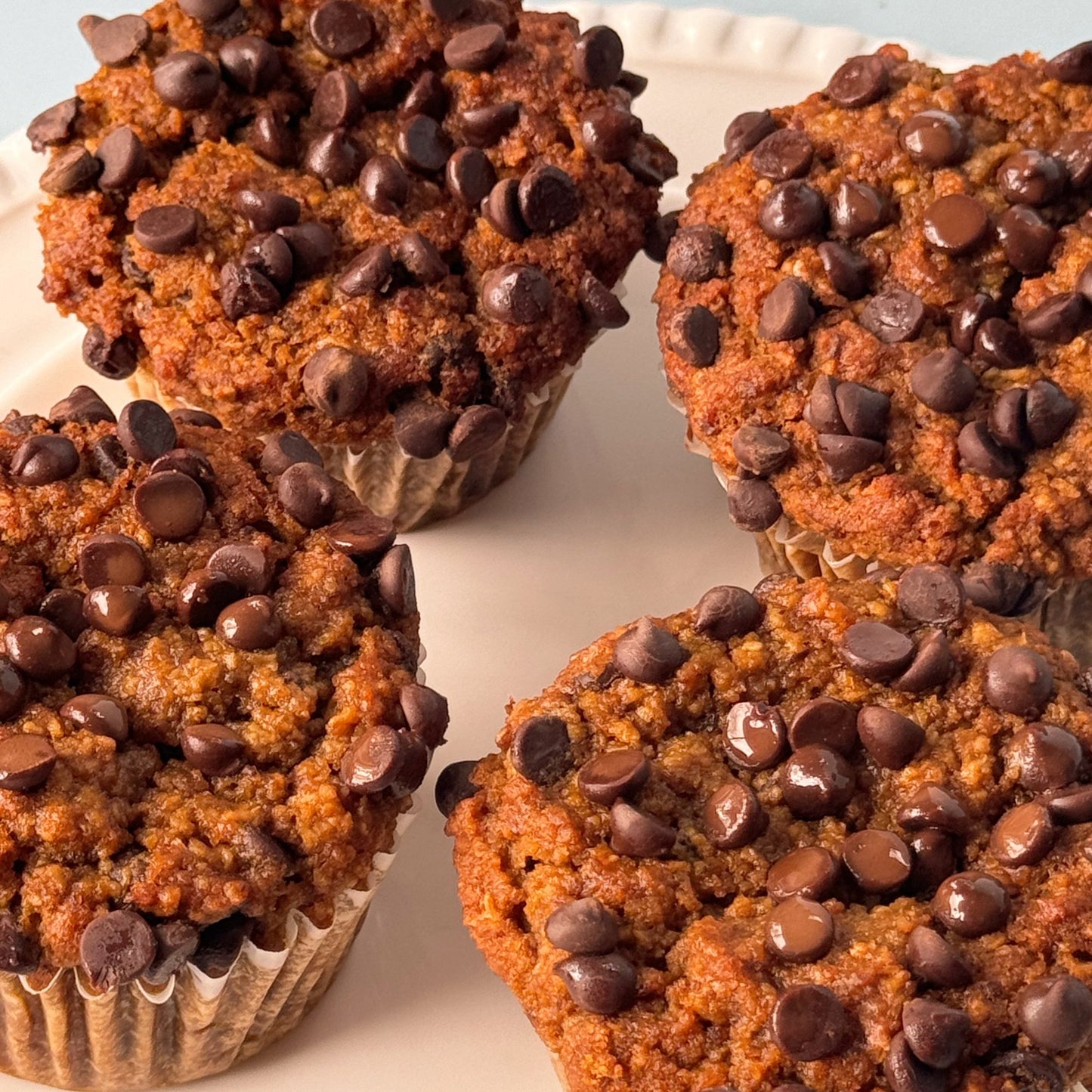 Molly's Pumpkin Chocolate Chip Muffins