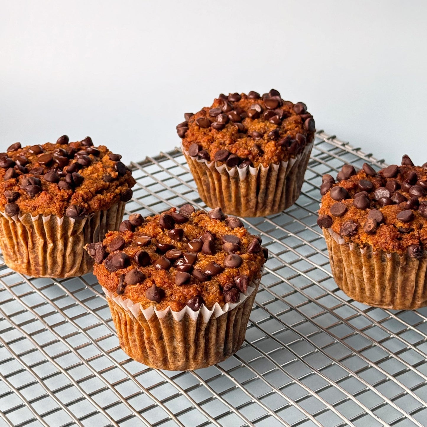 Molly's Pumpkin Chocolate Chip Muffins