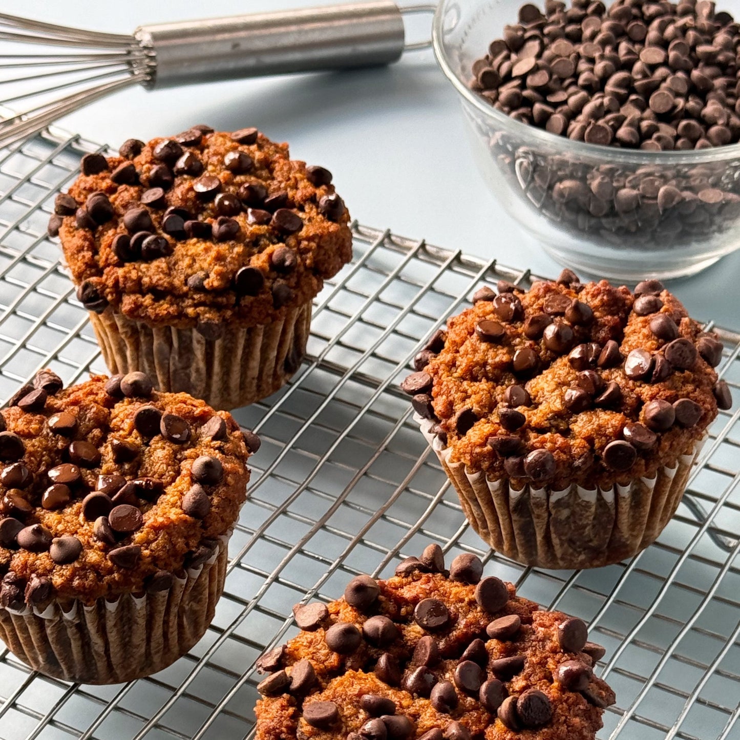 Molly's Pumpkin Chocolate Chip Muffins