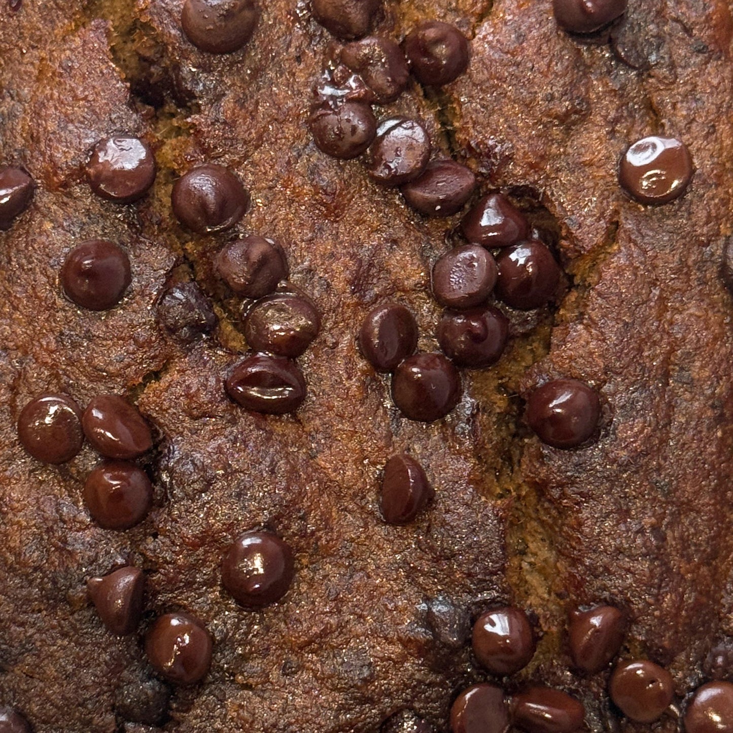 Molly's Chocolate Chip Banana Bread